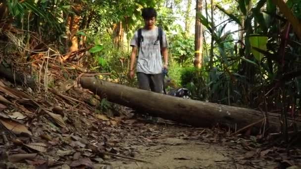 男はスローモーションでハスキーとジャングルの木の上を歩く — ストック動画