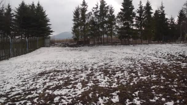 Jardim Atrás Minha Avó Casa Antes Inverno — Vídeo de Stock