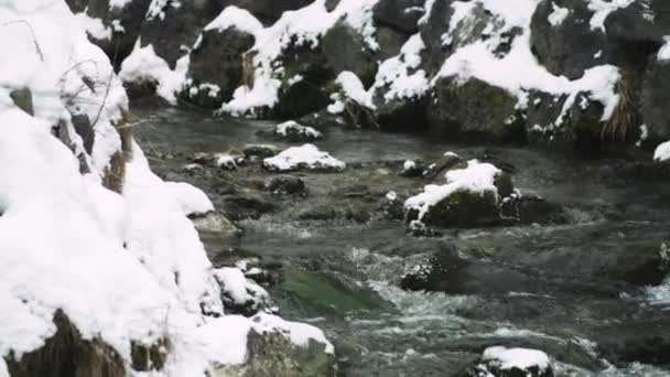 小河上覆盖着一层雪 呼啸着冲到了流水的近处 — 图库视频影像