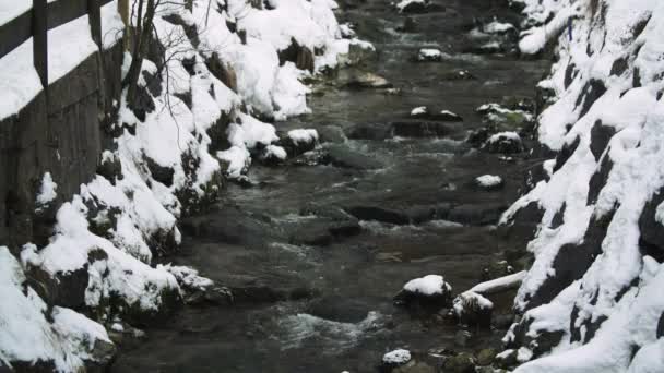 Arroyo Cubierto Nieve Con Rocas Que Fluyen Río Abajo — Vídeos de Stock