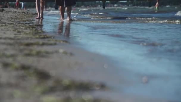 Άνθρωποι Χαλαρό Περπάτημα Μέσα Από Κυματιστές Παλίρροιες — Αρχείο Βίντεο
