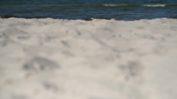 Playa Arena Enfoque Suave Con Olas Pacíficas Distancia — Vídeos de Stock