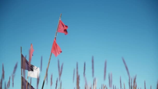 Vlaggen Zwaaien Als Wind Waait Door Hoog Gras Aan Kust — Stockvideo