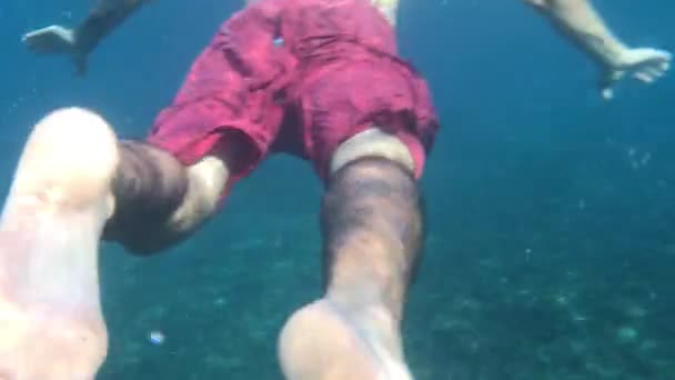 Boy Swims Underwater Next Coral — Stock Video