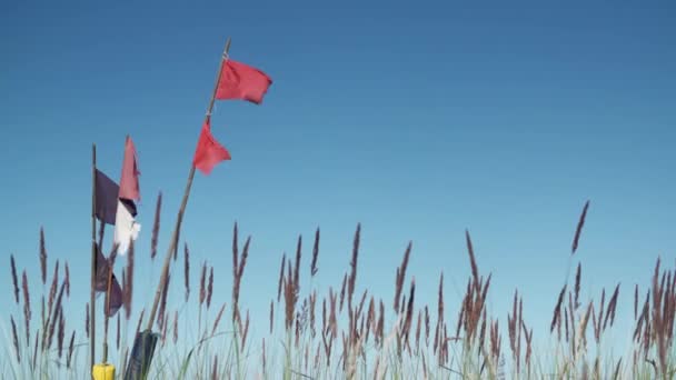 Bandeiras Acenando Enquanto Vento Sopra Através Grama Alta Praia — Vídeo de Stock