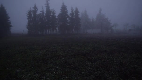 Giardino Dietro Casa Mia Nonna Prima Della Notte — Video Stock