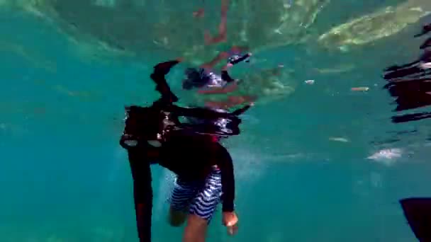 Young Boy Snorkling Maui Dives Underwater Surrounded Beautiful Fish — Stock Video