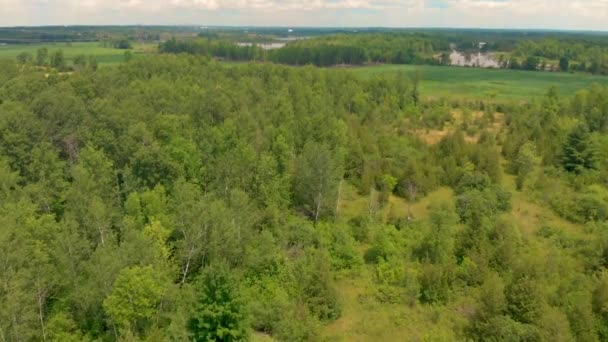 Bosque Verde Exuberante Granja Vista Aérea Jalá Hacia Abajo Pan — Vídeos de Stock