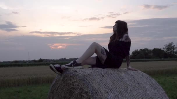 Hermosa Chica Sentada Una Gran Paca Heno Una Granja Atardecer — Vídeos de Stock