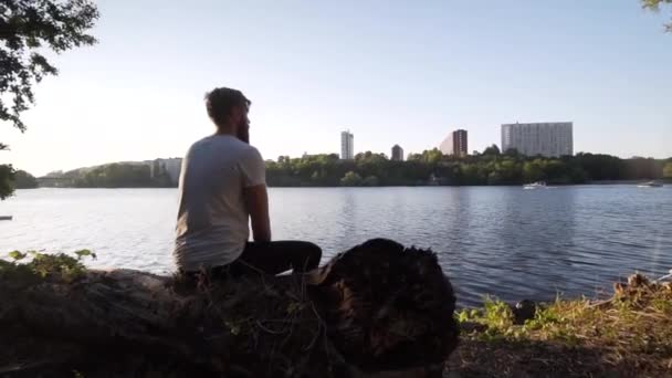 Повний Бородатий Кавказький Самець Сидить Дереві Біля Каналу Стокгольмі Швеції — стокове відео