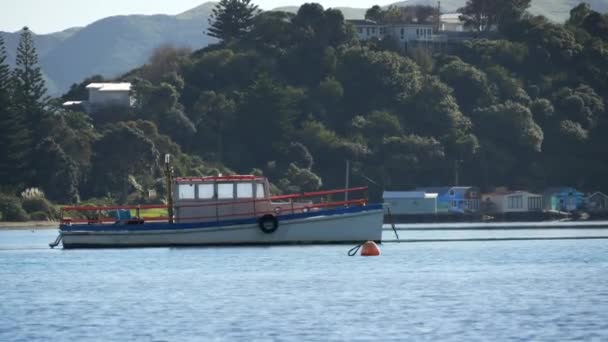 Una Barca Una Baia Della Nuova Zelanda Paremata Wellington — Video Stock