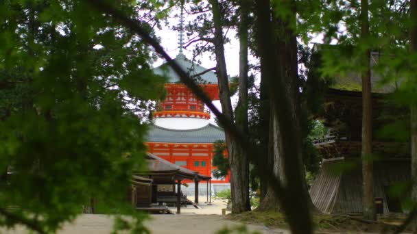 壇上伽藍は高野山の中心寺院群である — ストック動画