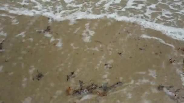 佛罗里达州德尔里海滩上的海浪特写 两股缓慢移动的海浪掠过热带沙滩 — 图库视频影像
