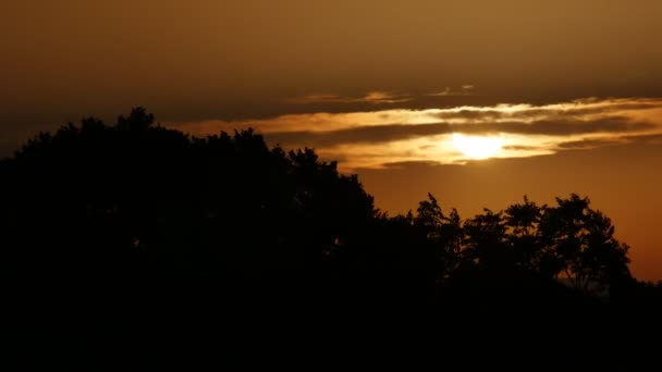 Zeitraffer Des Sonnenuntergangs Über Den Bäumen — Stockvideo