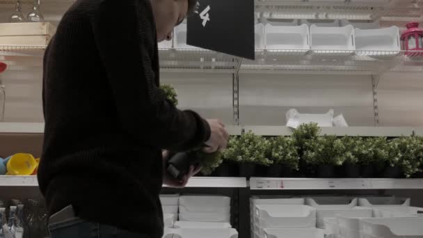 Müşteri Ikea Daki Sahte Çalı Bitkilerini Kontrol Ediyor — Stok video