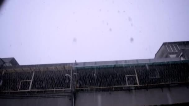 Съемки Сильного Дождя — стоковое видео