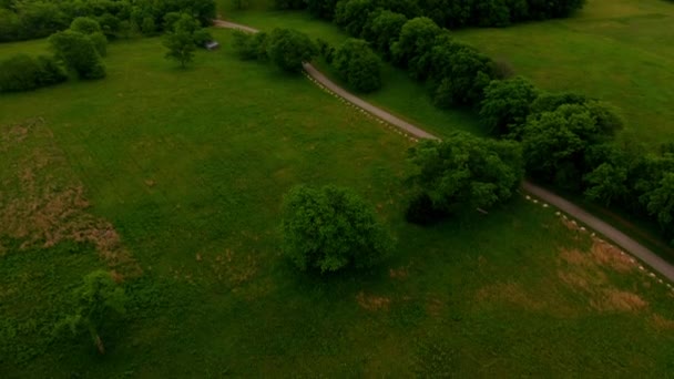 大規模な岩が並ぶ道路で開かれた草原のこのショットは 古いキャビンを過ぎて傾いて 公園の家 撮影はゆっくりと空気中の適度に高いから下がっている — ストック動画