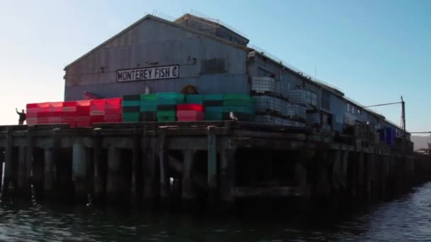 Monterey Baai Werf Beeldmateriaal Overdag — Stockvideo