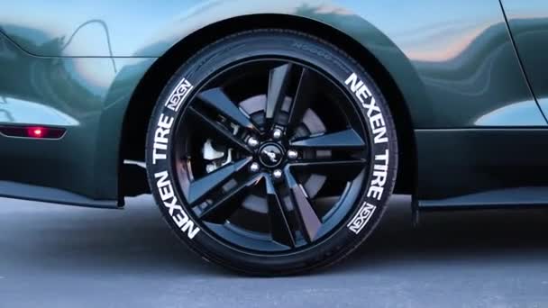 2015 Mustang Skórkami Liter Opon Przed Startem — Wideo stockowe