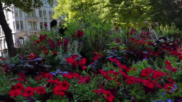 Green Fountain Oslo — Stock Video