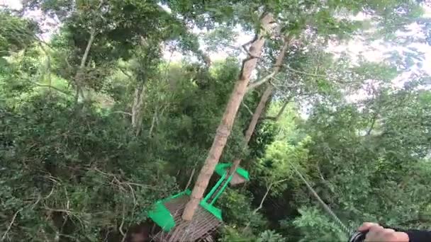 Tarzan Pattaya Gibon Halatla Uçuyor — Stok video