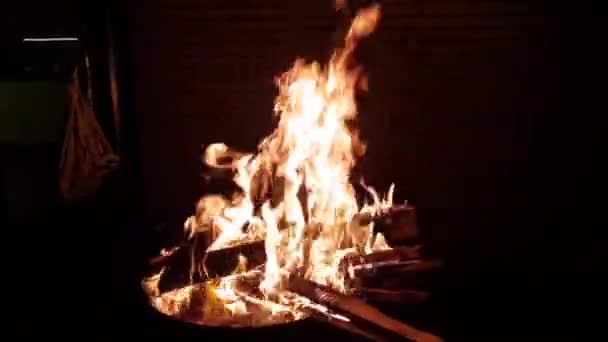 Barbecue Fire Backyard — Stock Video