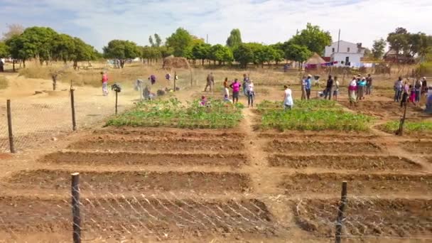 美国人和津巴布韦人在花园 低角空中一起努力工作 — 图库视频影像