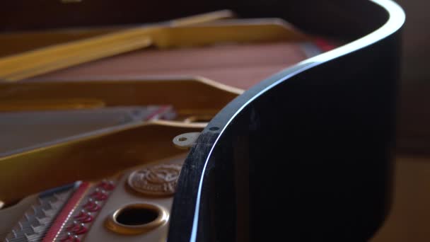 珠江黑色大钢琴的内部机械师 所有的琴弦和琴键 — 图库视频影像