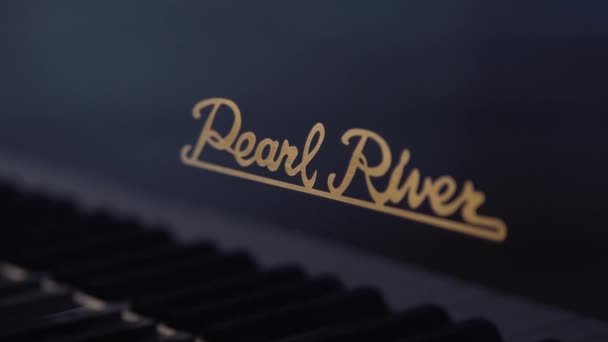 Las Manos Hombre Tocando Las Teclas Piano Cola Río Perla — Vídeos de Stock