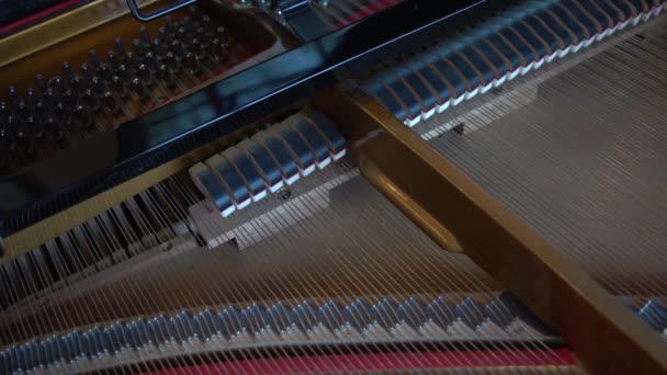 パールリバーブラックグランドピアノの内部機構で弦と鍵は全て — ストック動画