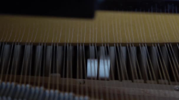 Bir Pearl River Piyanosunun Mekaniği Tüm Telleri Tuşları Olan Siyah — Stok video
