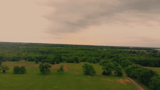 Cliché Praire Ouvert Milieu Une Grande Clairière Arbres Vous Rapproche — Video