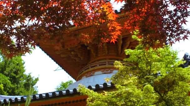 Pagoda Templo Mitaki — Vídeo de stock