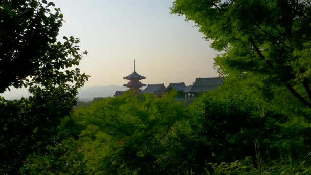 Templo Budista Kiyomizu Dera Kyoto Durante Temporada Otoño Japón — Vídeo de stock