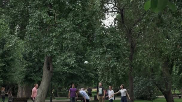 Mensen Spelen Volleybal Het Park Gorkogo Moskou — Stockvideo