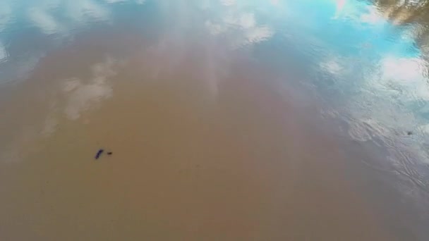 Disparo Revelador Aguas Abajo Los Rápidos Del Río — Vídeo de stock