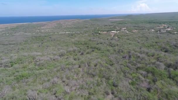 Vzdušný Výhled Křovinaté Pláně Ostrova Výhledem Oceán Hory Jasně Modrá — Stock video