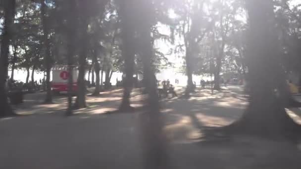 Bewegen Door Een Bosrijk Strand Met Mensen — Stockvideo