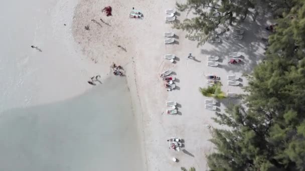 Temiz Tropikal Plajın Tadını Çıkaran Nsanların Genel Görünümü — Stok video