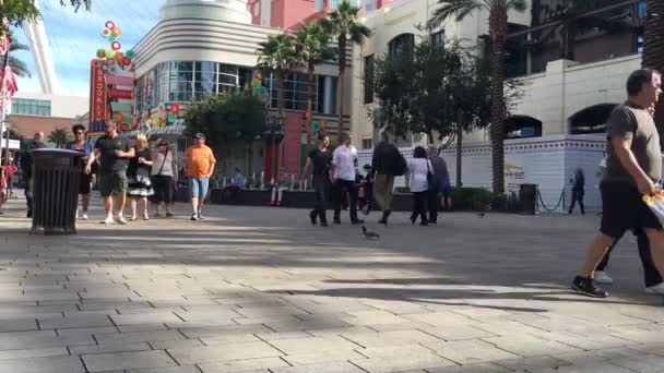 Las Vegas Strip Time Lapse — Vídeo de Stock