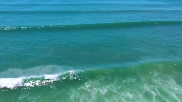 Drone Shot Surfer Catching Clean Wave Sunny Day Larger Waves — Stock Video
