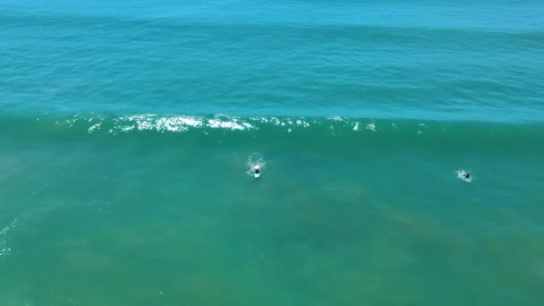 青い空の日に波をサーフィンサーファーのドローンショット — ストック動画