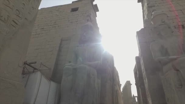 エジプトのルクソールにある寺院の像のショット — ストック動画