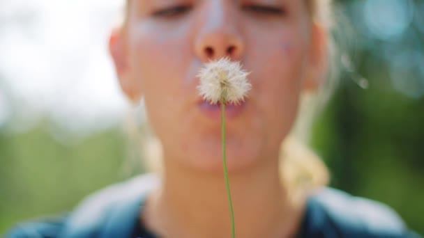Genç Kafkasyalı Kadın Karahindiba Çiçeği Tohumları Üflüyor Gülüyor Dwingeloo Hollanda — Stok video