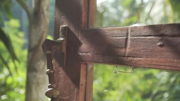 清晨拍摄的丛林小木屋中的木制窗户 背景上有蚂蚁的棕榈树 有焦点拉动 — 图库视频影像