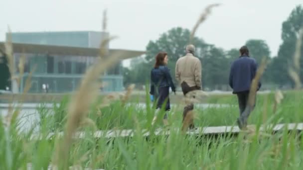 Uma Visão Baixo Ângulo Das Pessoas Que Caminham Campus High — Vídeo de Stock