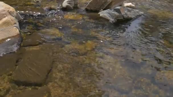 Річка Скелі Горах — стокове відео