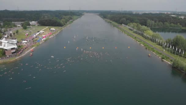 Dans Cette Pièce Beaucoup Nageurs Qui Commencent Une Baignade Travers — Video