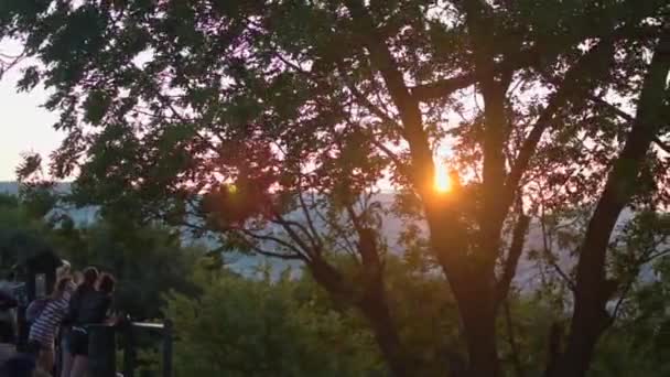 Zpomalené Záběry Stromu Některých Turistů Sluncem Pozadí — Stock video