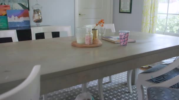 Camera Lowers Dining Room Table Reveal Cute Little Maltipoo Hiding — ストック動画